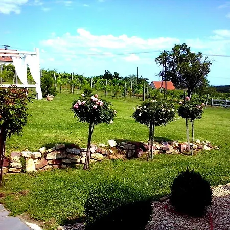 Pasztovszki Borkuria Villa *
