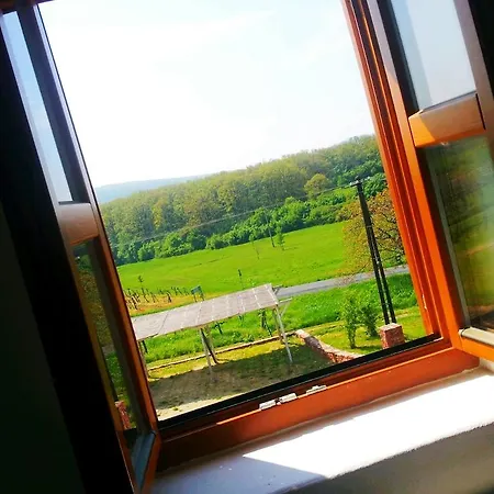 Pasztovszki Borkuria Villa Monoszlo