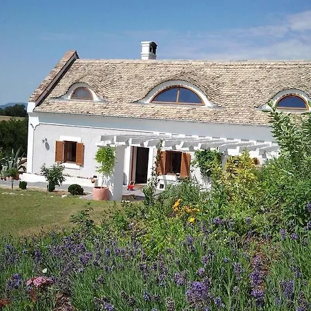 Villa Pasztovszki Borkuria